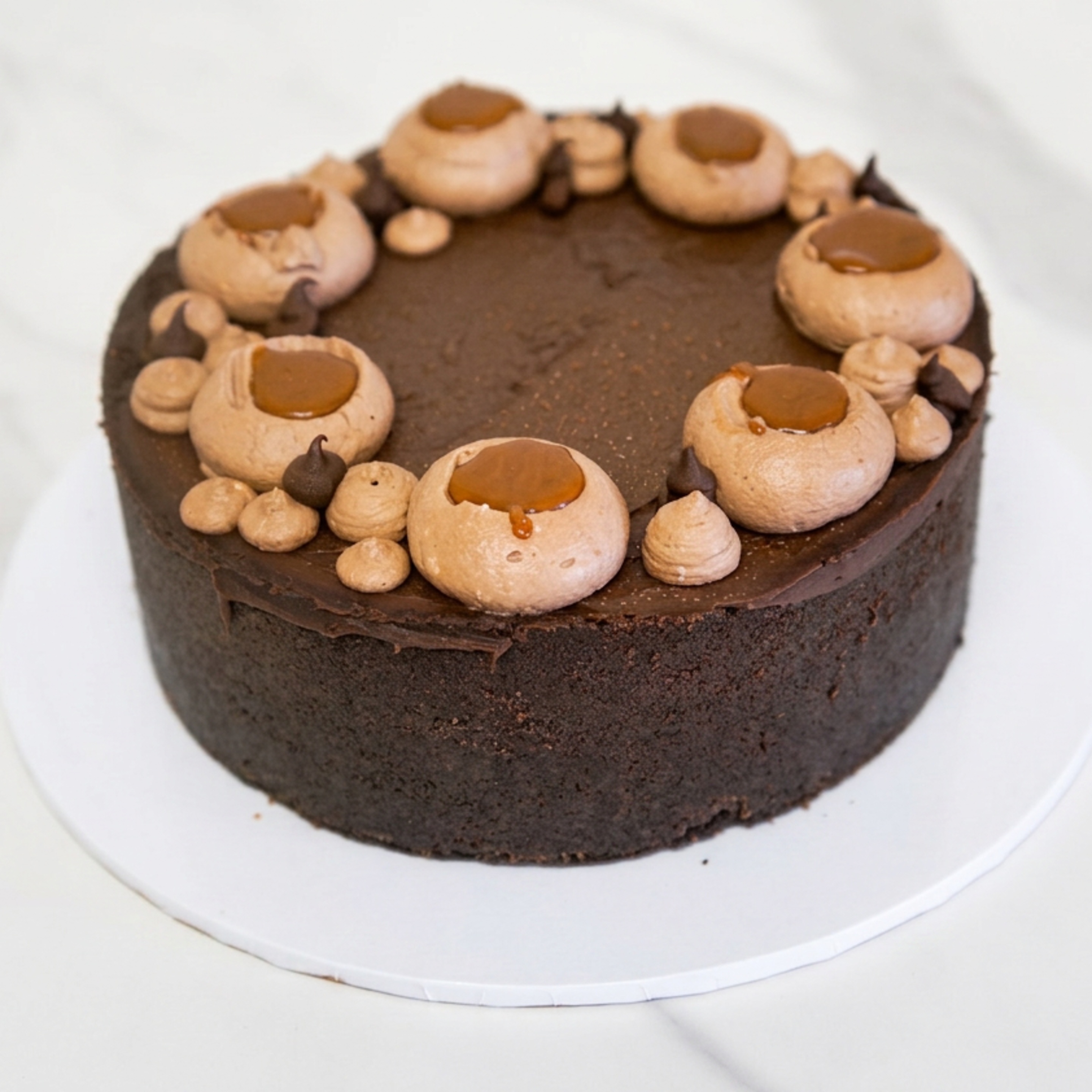 Hazelnut and Dark Chocolate Cheesecake